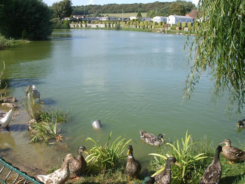 Auberge Des Etangs Roussent Luaran gambar